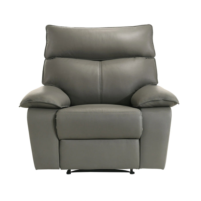 Wildcat Motion Recliner in Aviarah Grey